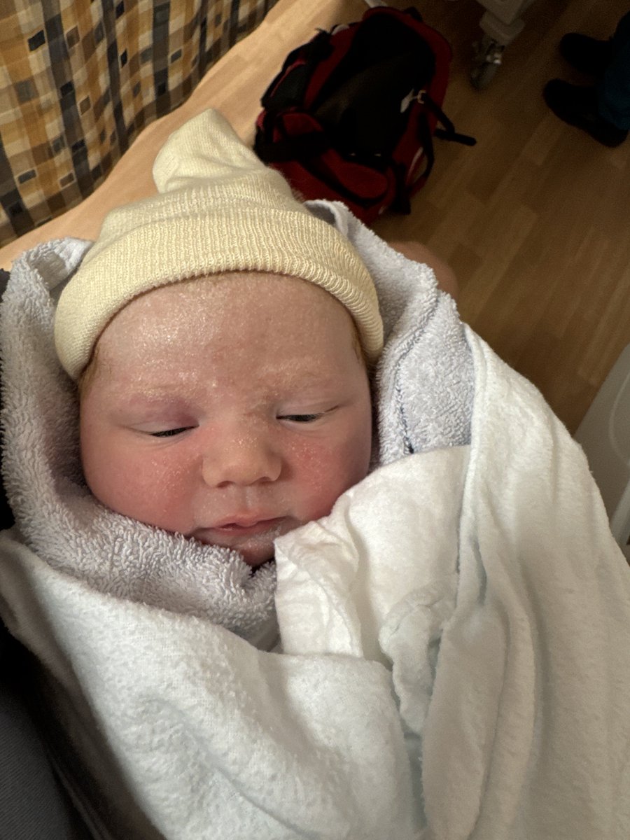 Dr Brad Stanfield tweet media