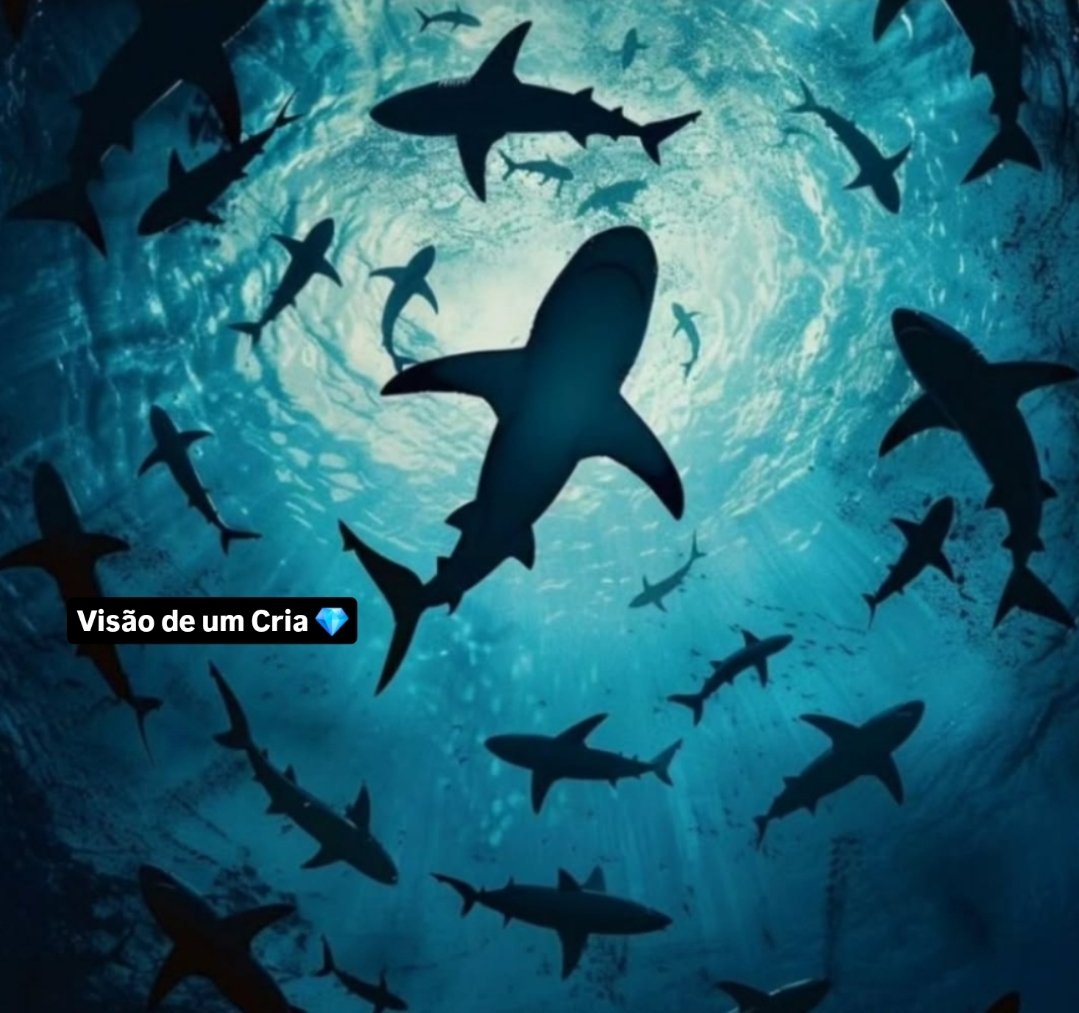 visaodeumcria__'s tweet photo. Quem pulou do barco que 
se vire com os tubarões!!💎🎭🩸🦈 https://t.co/WBr5Ya5EtX