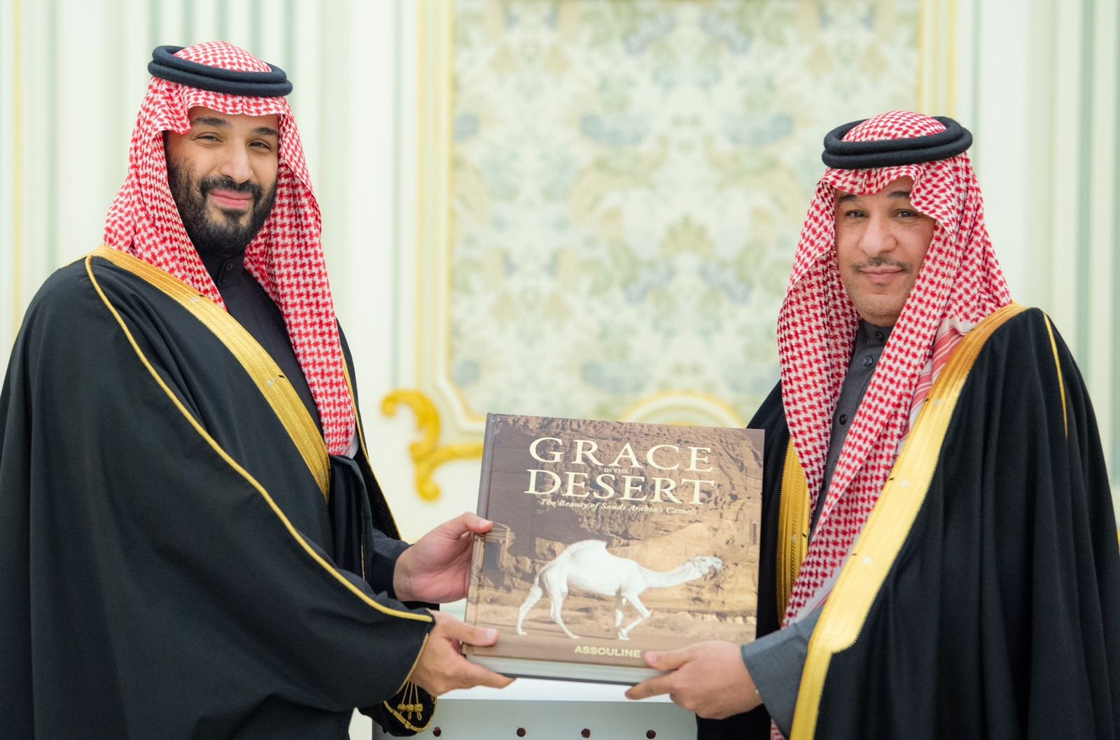 الصورة