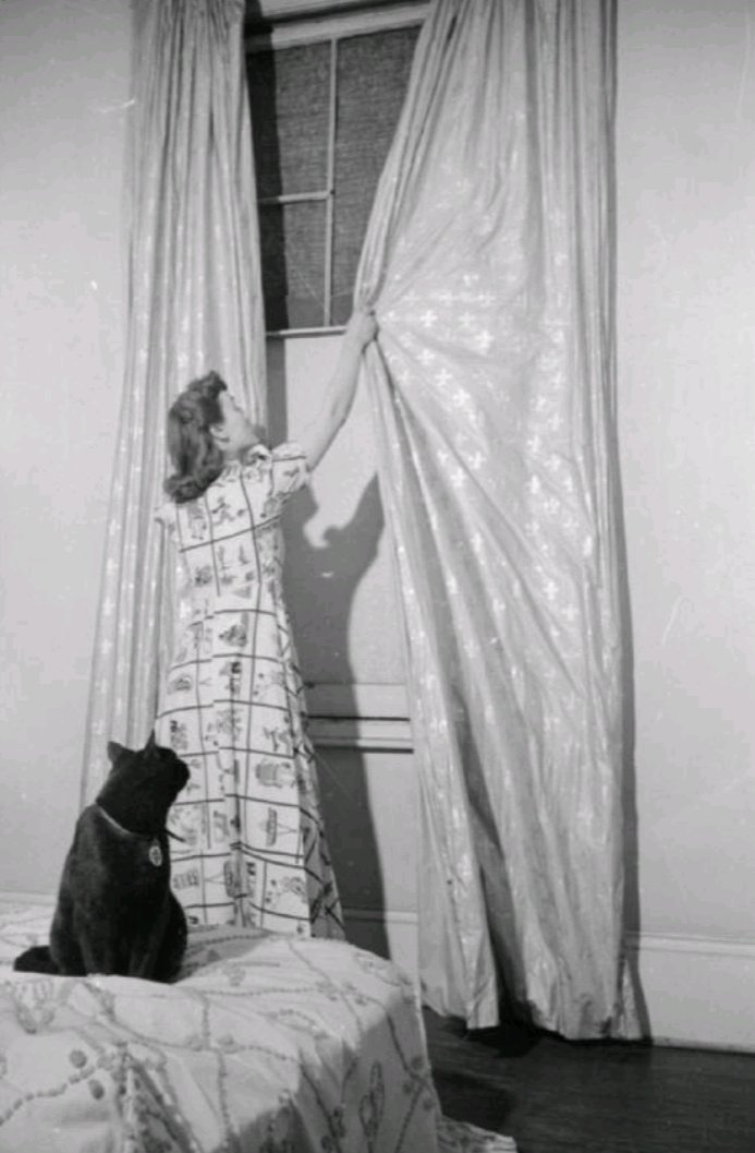 History🇬🇧WWII.

1939-45.

There We Are Puss, We Don't Want That Nasty Mister Hitler Seeing Us.