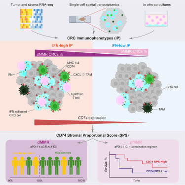 Cancer Cell tweet media