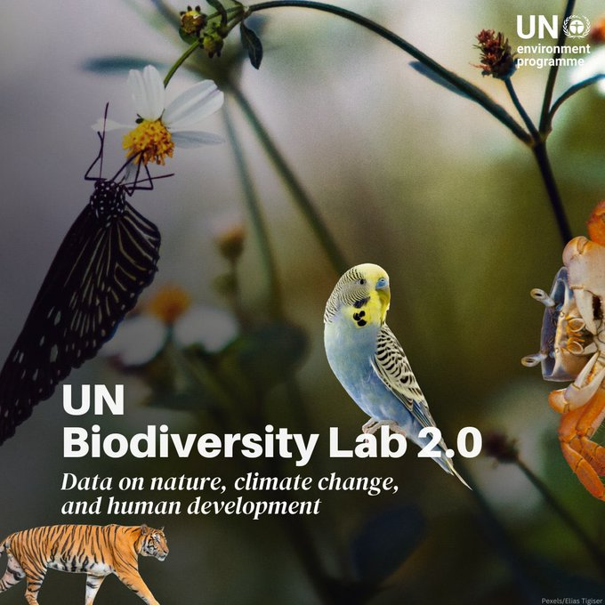 UN Biodiversity tweet media
