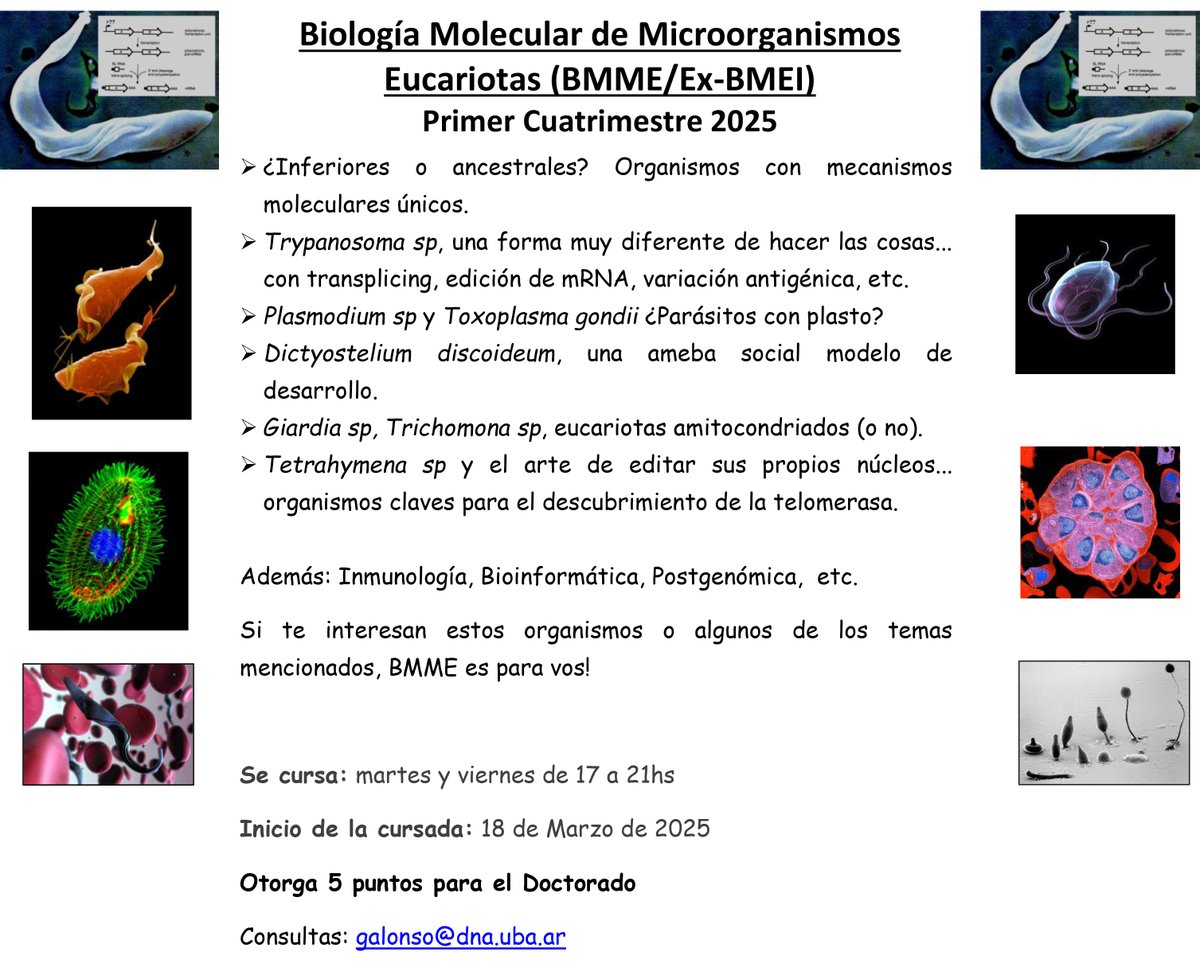 buiyitw's tweet image. Les paso toda la información para la cursada de Biología Molecular de Microorganismos Eucariotas 2025.