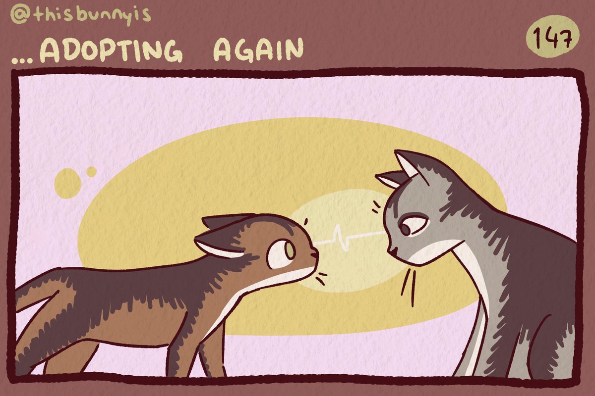 thisbunnyis (@thisbunnyis) on Twitter photo 