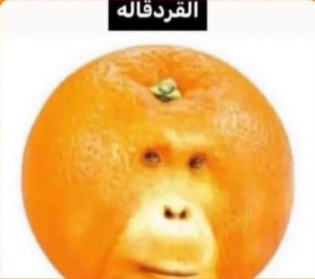 فينيسيوس بالطقم