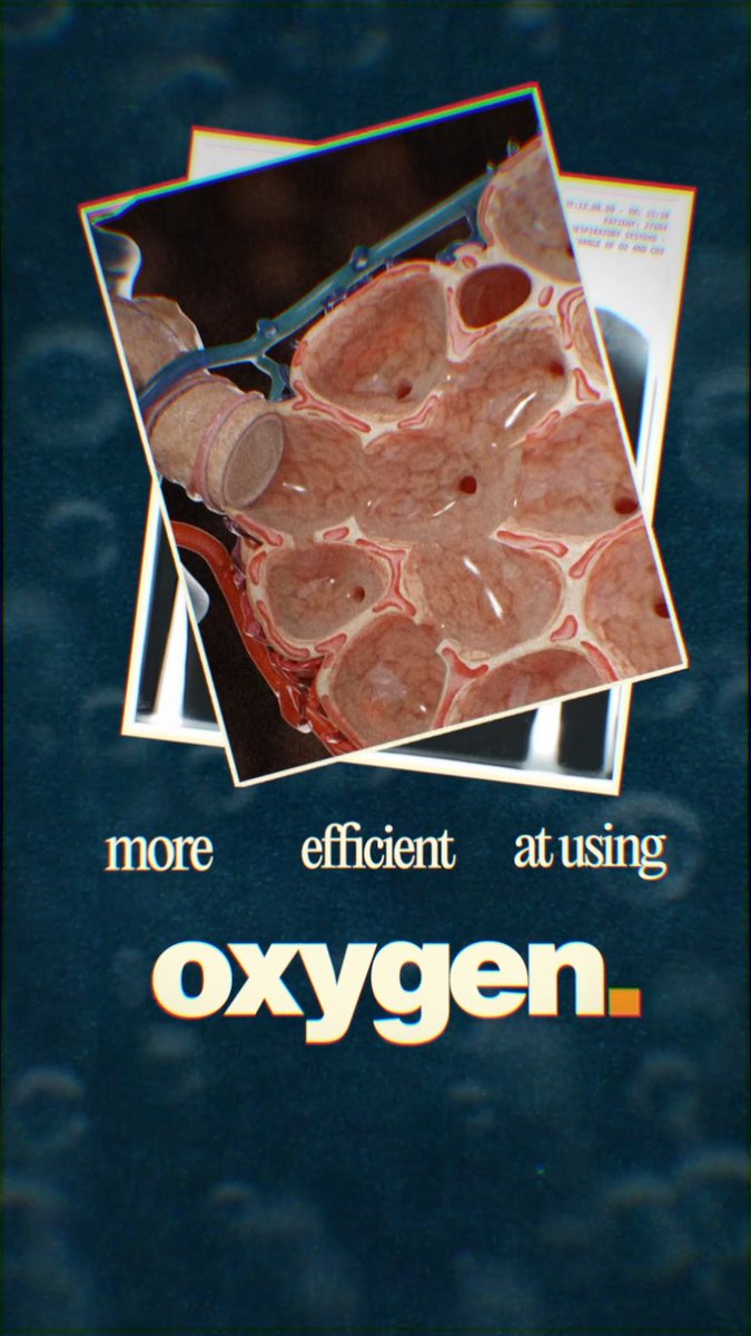 Daebitto's tweet image. Some of the recent frames from the Edits ✨Going for that clean grainy aesthetics ✍️