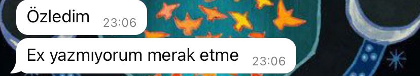 ben bacımı eğittim kızlar sıra sizde..