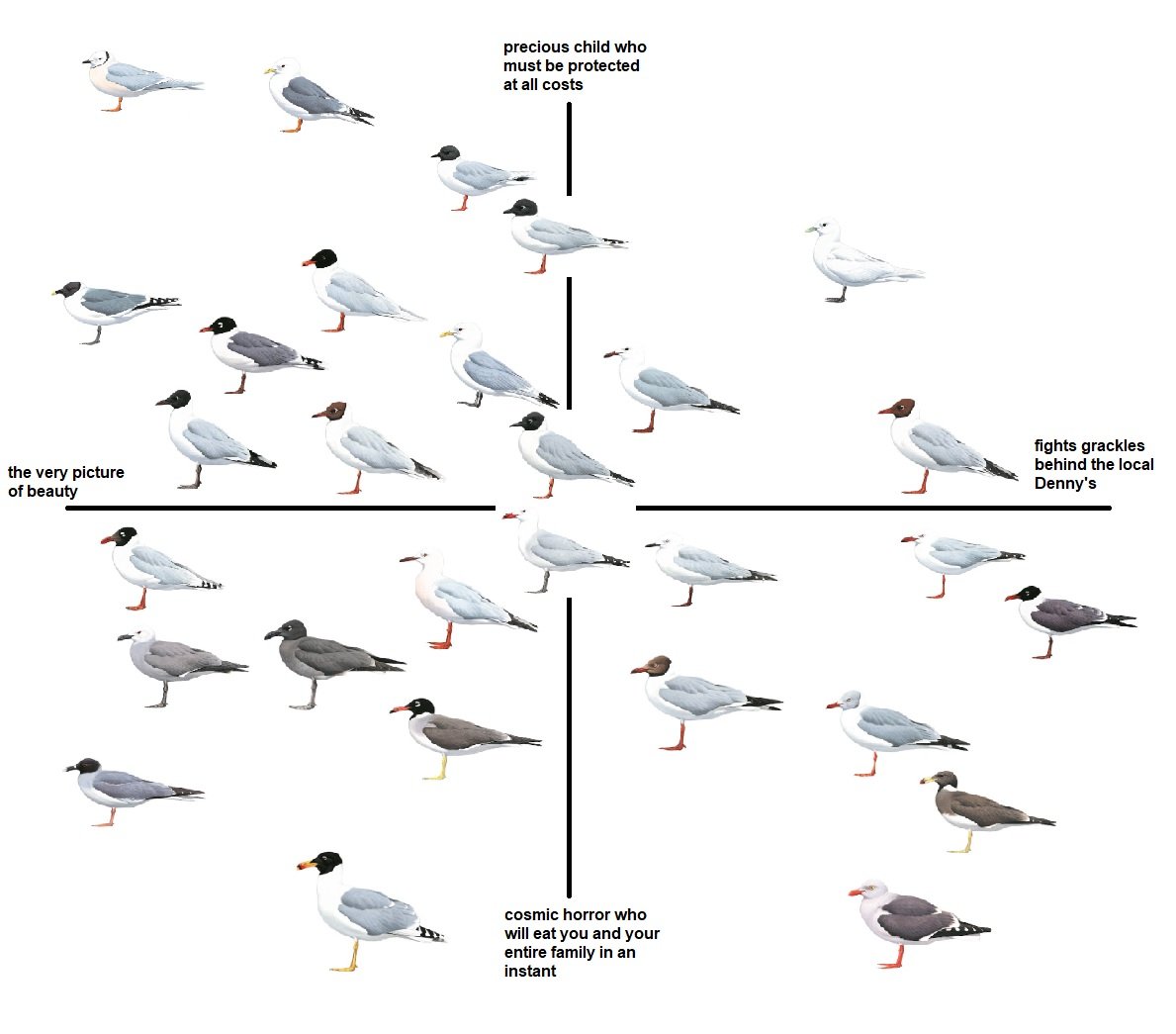since the only thing I'm good for these days is making slop here is a small gull alignment chart