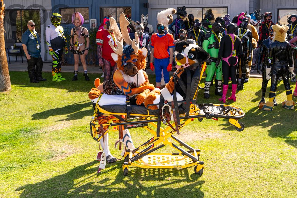 Bagged and tagged, patient secured :)
#COGweekend
#ShinyDogProductions

🦌 <a href="/Bleatyouoff/">Lascivious Foxbreaker 🔜 FLOP LVFC</a>