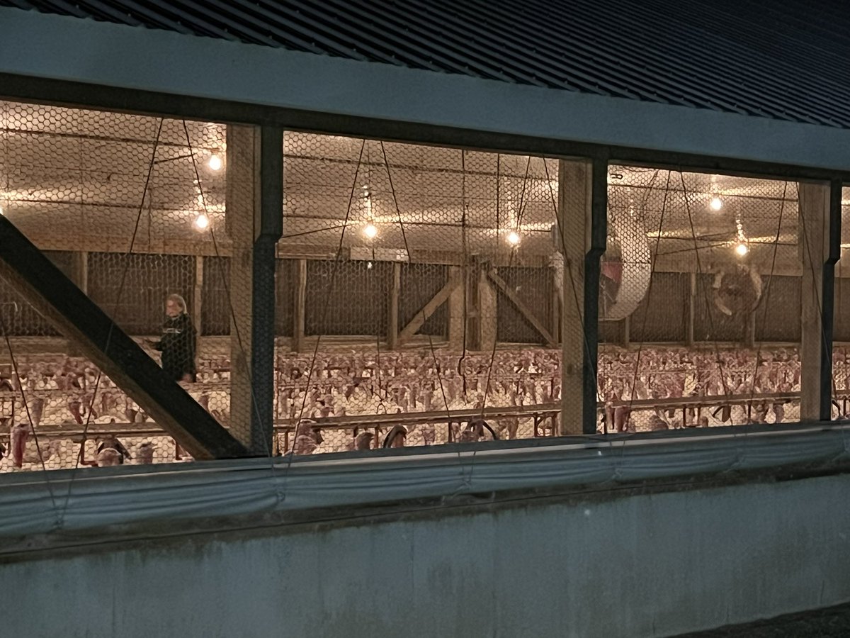 Clair Doan tweet media