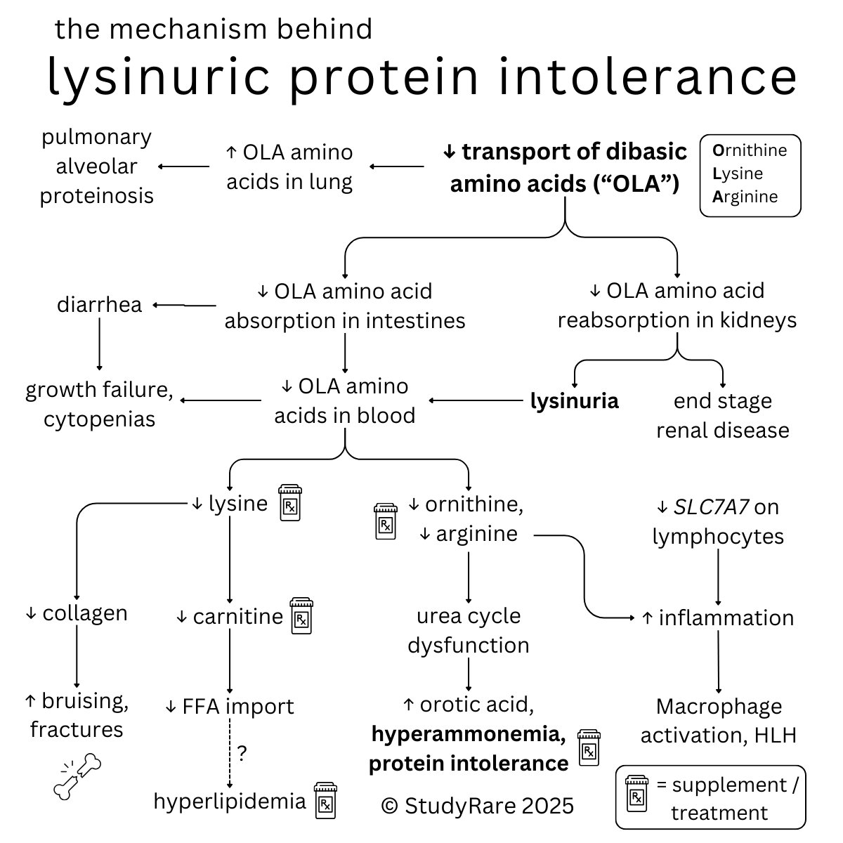 StudyRare 🧬 tweet media