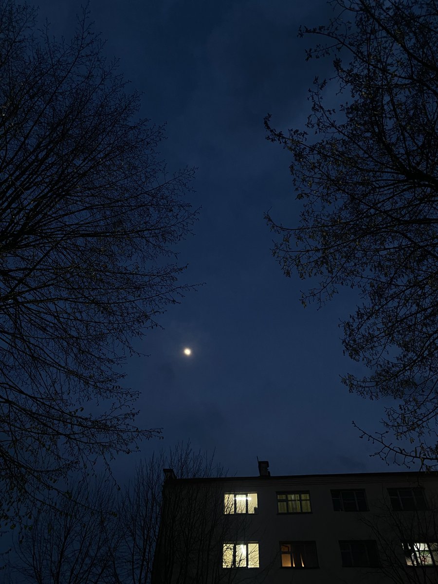 alyredaa's tweet photo. calmly night https://t.co/9wEosovkrN