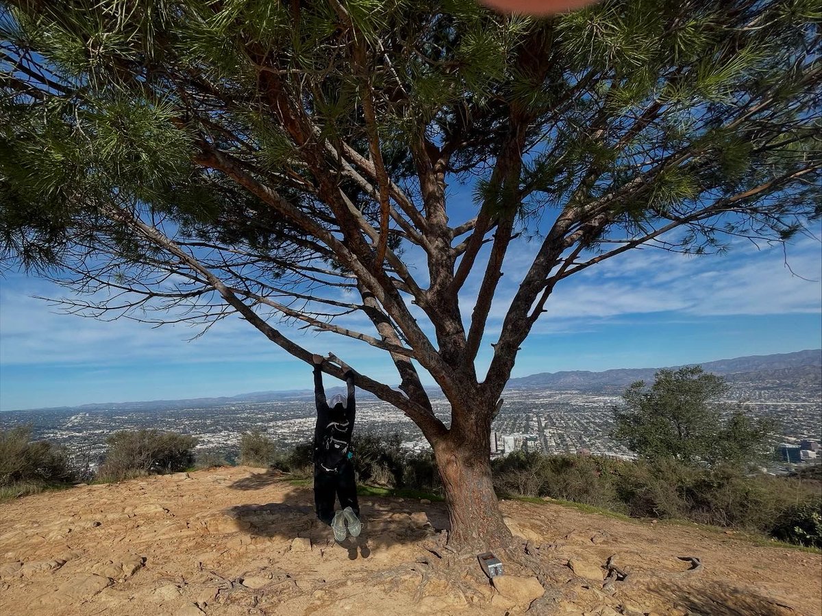 RadiologyUSC's tweet image. The view from the top was worth the hike! The DOR Hiking Crew conquered the Hollywood Hills on Sunday. What a gorgeous day to be out in nature. Stunning scenery, and some serious team bonding! 💪❤️

#HollywoodSign #USCRadiology #PanoramicViews #LosAngeles #HikingLife #Wellbeing
