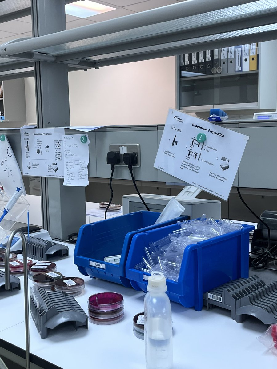 Shomwkh_LAB's tweet photo. first clinical ROTATION 🔬✨
Bacteriology lab 🧫 https://t.co/ec6zNlifLy