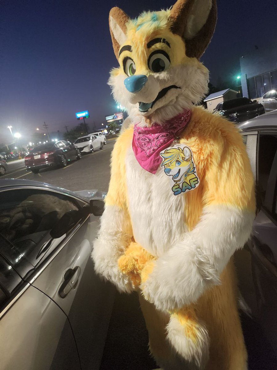 I was a big yellow cat this weekend! (Getting suited up in a parking lot is difficult 😅)