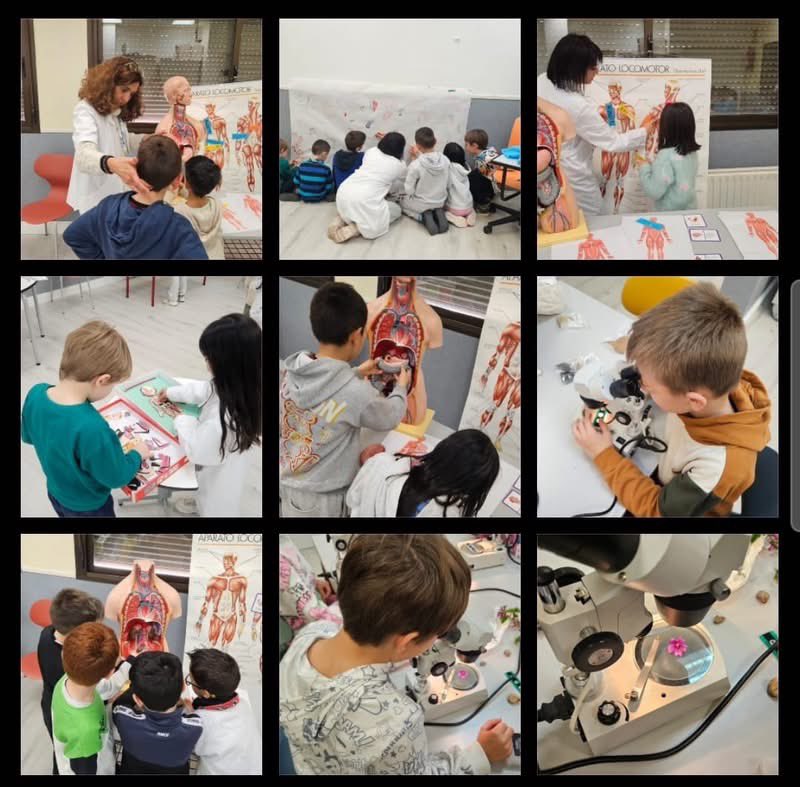 CEIP Ntra. Sra. de la Soledad tweet media