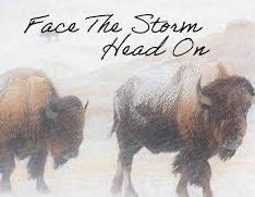 SurgEdMD's tweet image. Outstanding talk by @TomVargheseJr , dear friend & President @UnivSurg #ACS2025!! Shared his vision of a path forward in these tumultuous times!! We should be like Bison β heading into the storm of challenges facing academic surgery to tackle them head on!!! @DChu80 @AshGosain