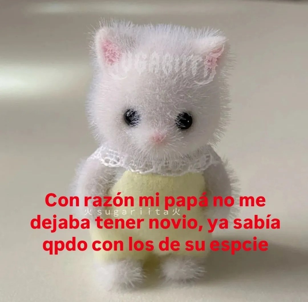 Meme Miniatura (@mememiniatura) on Twitter photo 
