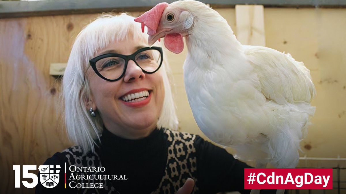 On #CdnAgDay, we highlight Dr. Alexandra Harlander, who is tackling critical challenges in sustainable agriculture, offering solutions to enhance bird well-being.
 
As a dedicated educator, she is inspiring the next generation of scientists.

Learn more: uoguel.ph/f7hv7