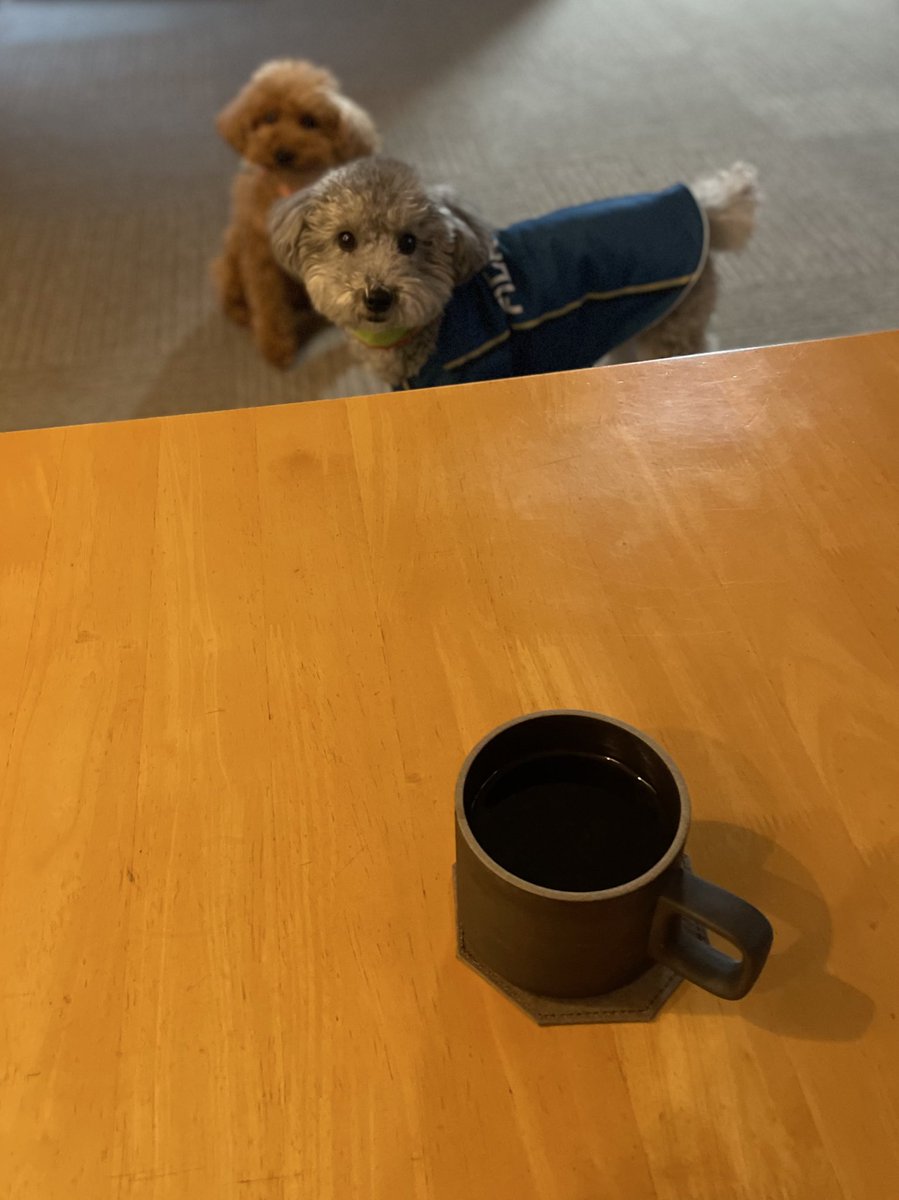 16EBISUMARU's tweet photo. 今朝のコーヒー☕️
パプアニューギニア🇵🇬コルブラン ハニー ミディアムロースト
香りよく美味しいコーヒー😌
#山鼻beans #HASAMI https://t.co/YiUgpwx5Z0