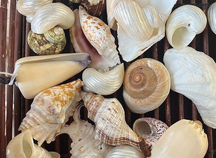 𓇼 (@bluepaints) on Twitter photo 