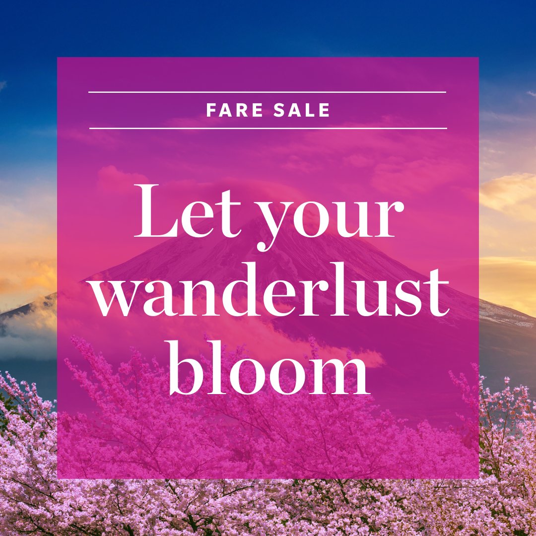 HawaiianAir's tweet image. There’s no such thing as too many trips to Japan. 🍜 🛍️ 🌸 Right now, Hawai‘i to Japan roundtrip flights are starting at $559.
Book now: bit.ly/42QB596