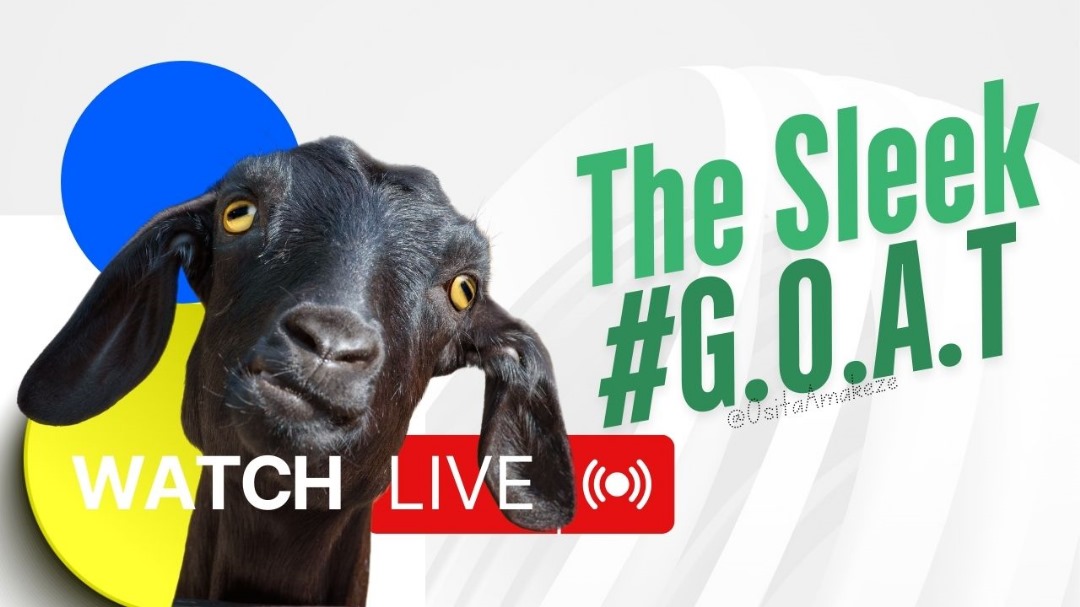 The Sleek #Goat 
Videography, Graphics, Ai, video editing, poetry &amp; story telling.👇🏾
youtu.be/vTZ9zge5XAM?si…