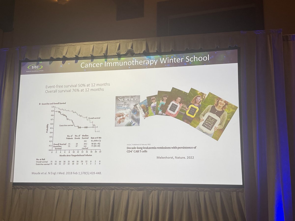 Chrystal Paulos tweet media