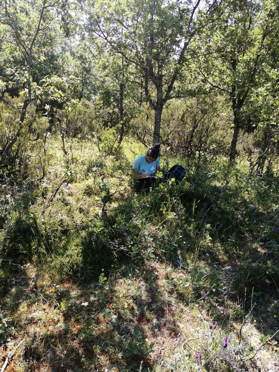 Rocío Daza (@rocio_rdaza) on Twitter photo Este #11F quiero reivindicar la labor de las investigadoras en el estudio de las dinámicas de carroñeros y la conservación de la fauna silvestre y agradecer a mis compañeras en <a href="/RewildTest/">RewildTest</a>. Sin vosotras, todo esto no sería posible. Hoy y siempre: sin Mujer, no hay Ciencia 💜💪 Este #11F quiero reivindicar la labor de las investigadoras en el estudio de las dinámicas de carroñeros y la conservación de la fauna silvestre y agradecer a mis compañeras en <a href="/RewildTest/">RewildTest</a>. Sin vosotras, todo esto no sería posible. Hoy y siempre: sin Mujer, no hay Ciencia 💜💪