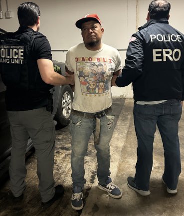 Going #SuperSaiyan won’t help this MS-13 gang member.

While here illegally, he committed 2 assaults before hiding from the law.

#PremierSector assisted ICE/ERO #Austin to arrest this fugitive w an INTERPOL Red Notice from El Salvador.

His ride back won’t be on a Flying Nimbus.