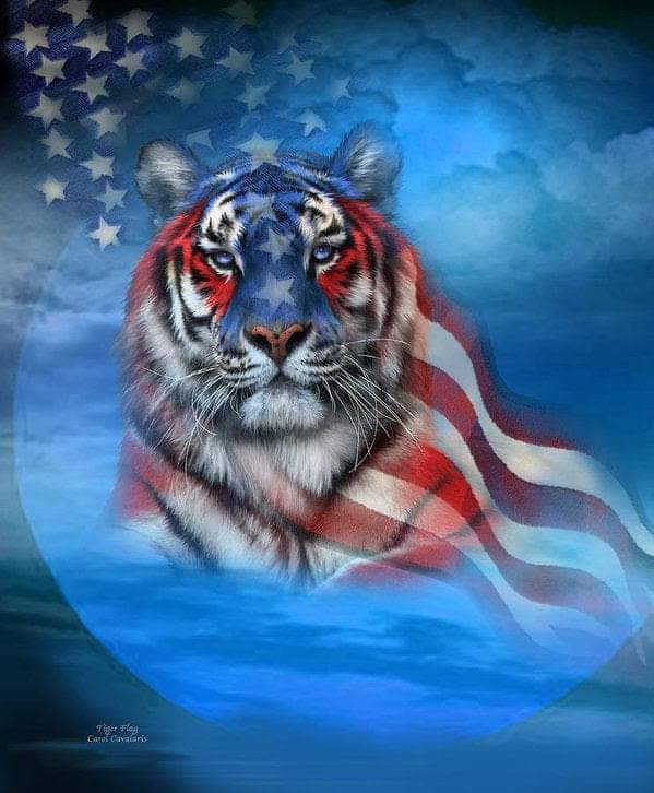 @Gop_Army MAGA unite.
Stand strong and proud. 🇺🇸 

Please add <a href="/BlackEyeBengal/">Ronald Pepperack</a>
