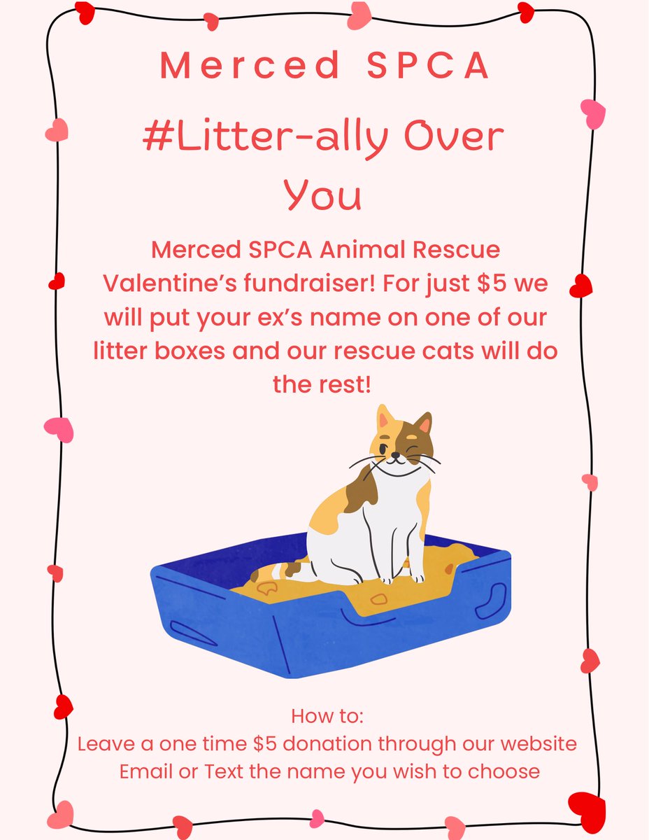MercedSpca's tweet image. Are you LITTER-ally over someone?

Just pay $5 on Valenitine’s Day and we’ll make sure you get a photo of their name on a “gift” from our foster cats. 

We don’t discriminate (and neither will our cats). Visit us at mercedspca.org