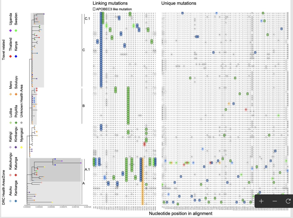 Another paper of our collaboration in DRC and Rwanda <a href="/EDCTP3/">Global Health EDCTP3</a>: tracking the evolving mpox clade Ib outbreak. Great team, more work ongoing to try to understand the outbreak <a href="/Udahemuka1/">Udahemuka Jean Claude, PhD 🇷🇼👨🏿‍🔬🧬</a> <a href="/1986Bom/">Bas Oude Munnink</a> and many others  nature.com/articles/s4159…