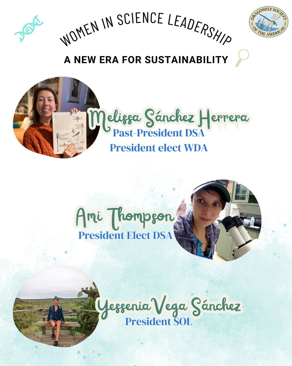 Dragonfly Society of the Americas tweet media