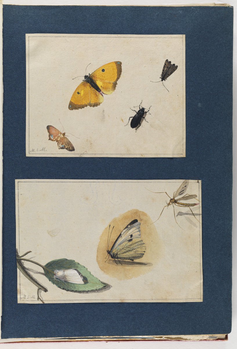 LewisWalpoleLibrary tweet media