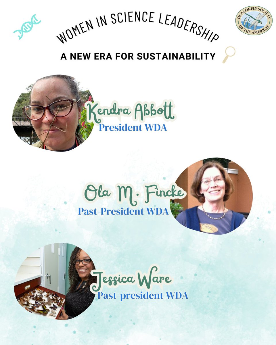 Dragonfly Society of the Americas tweet media