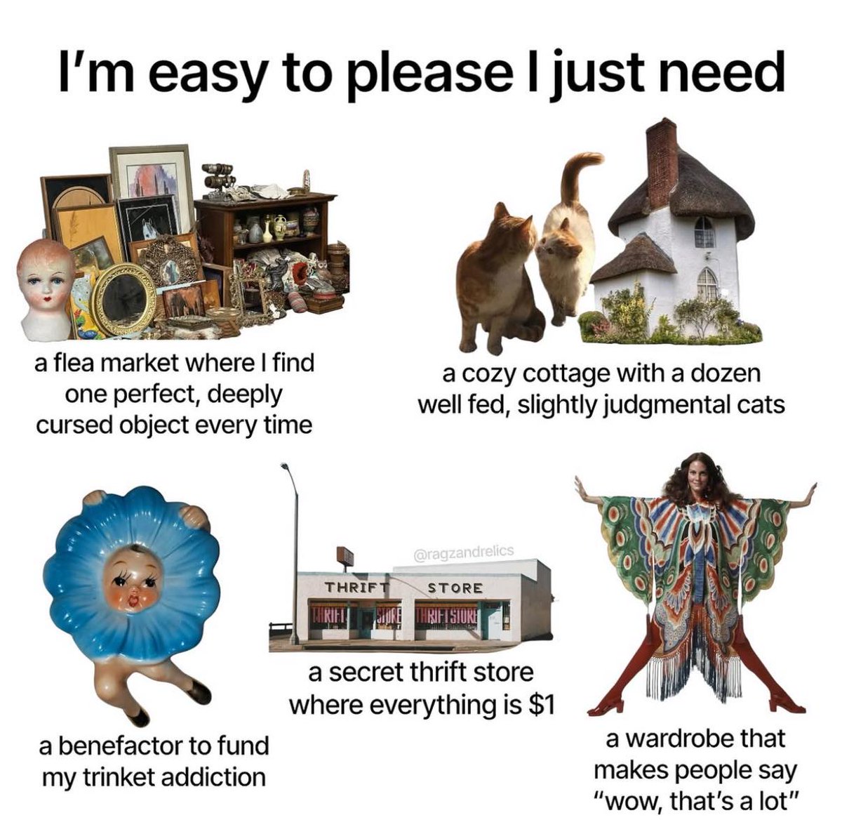 The Museum of Curiosities (@curiosmuseum) on Twitter photo 