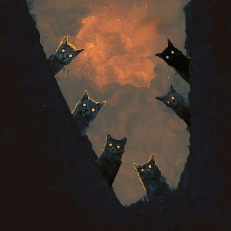 Boris Groh (b. 1994)