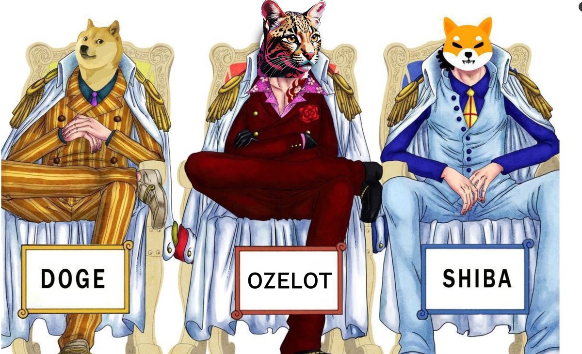 OzelotToken's tweet photo. @RuggaCalls https://t.co/qtwHinShAZ