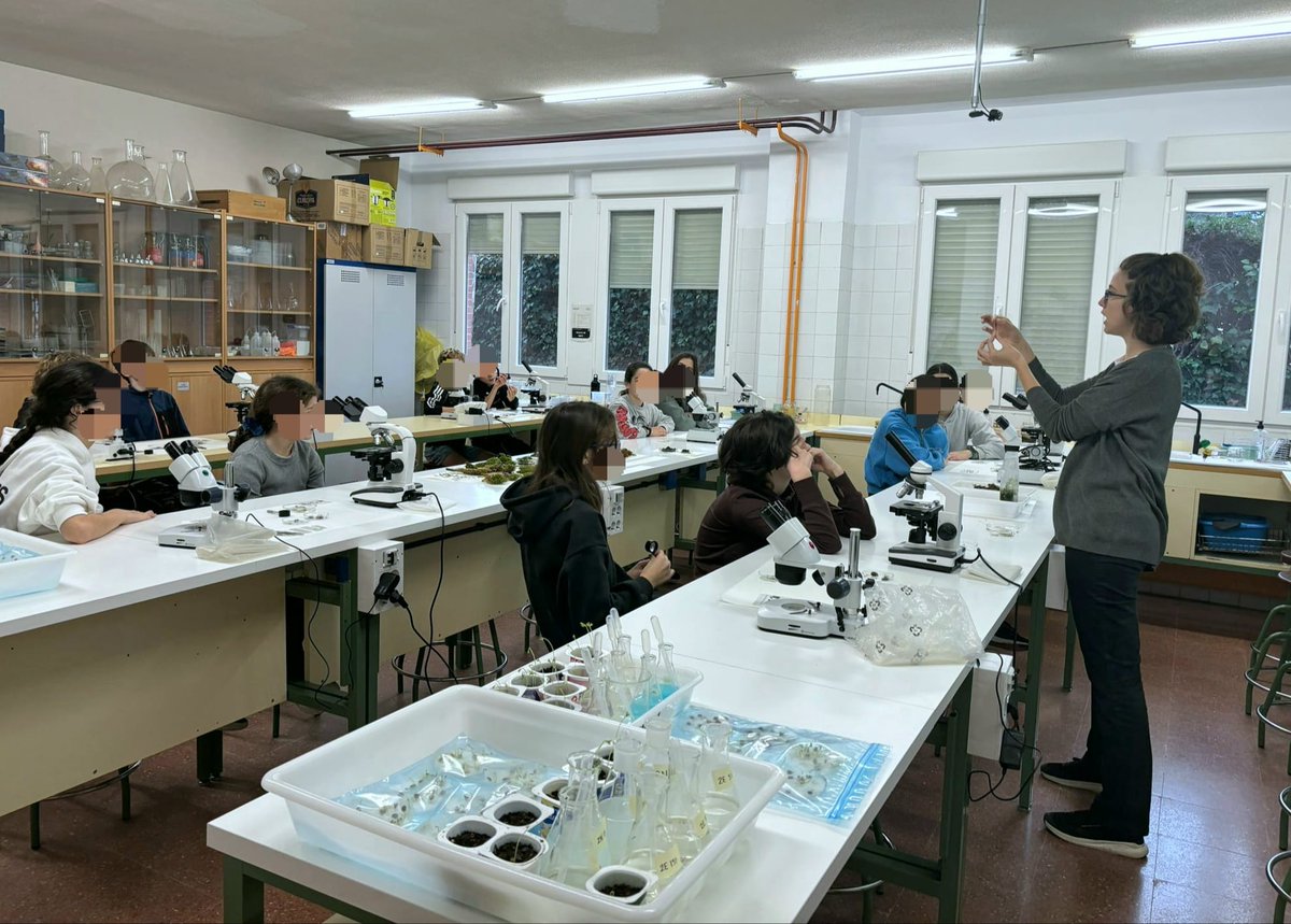 @OrthotreeProject tweet media