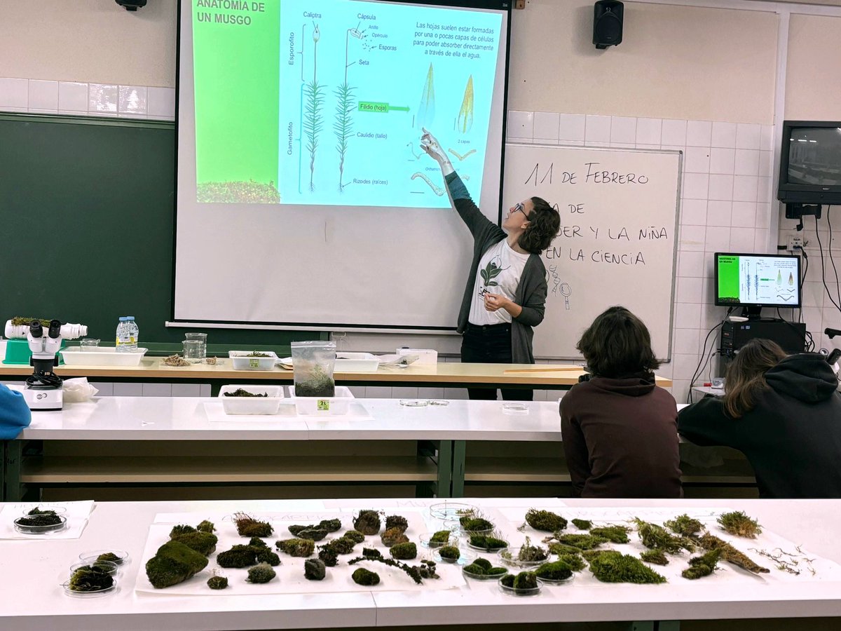 No os perdáis a Beatriz Vigalondo, miembro de Orthotree, impartiendo una  actividad de acercamiento a los briófitos en los talleres de enriquecimiento del IES Jose Luis Sampedro de Tres Cantos, qué lujo de profesora :)