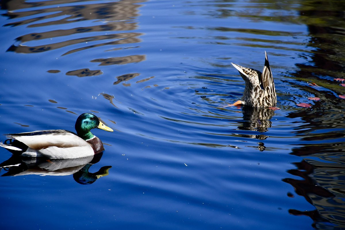 We want to hide from this weather too