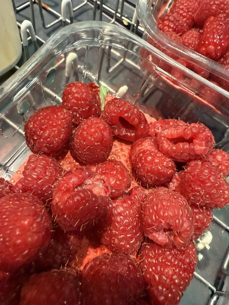 SeriousShortbrd's tweet photo. I'm so disappointed this week in @Tesco produce. Both punnets of raspberries and fine beans gone off before their sell by date. https://t.co/rsUamL32CH