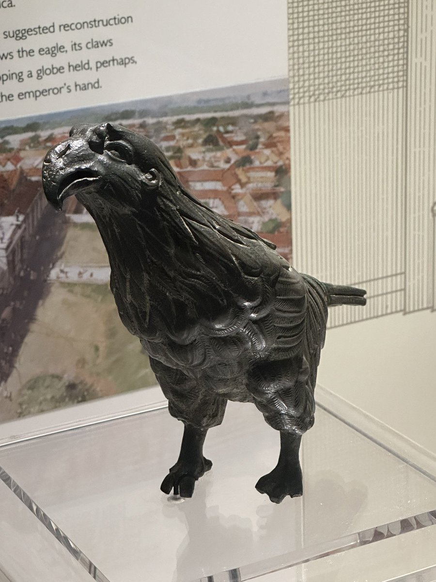 ENortonHistory's tweet photo. The Silchester Eagle, on display in Reading Museum. A remarkable find, it’s made of cast bronze and was founded in 1866 in the remains of the basilica at the Roman town of Silchester. It was probably once part of a statue #romaneagle #readingmuseum #rome #ancientrome #silchester https://t.co/Ahj3kGdR9x