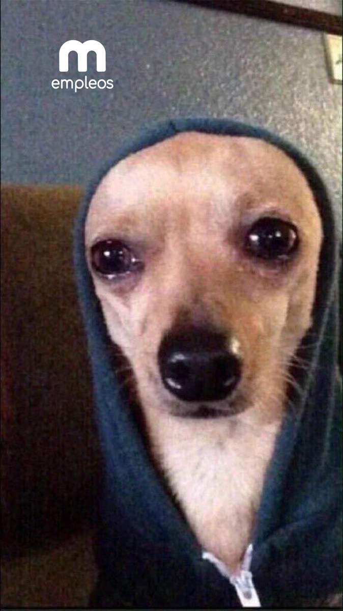 El verdadero superpoder de adulto::::: fingir que estás bien mientras piensas en renunciar 🥲
.
.
.
.
#meme #memeemplo #trabajo #llorar #crisis #magnetoempleos