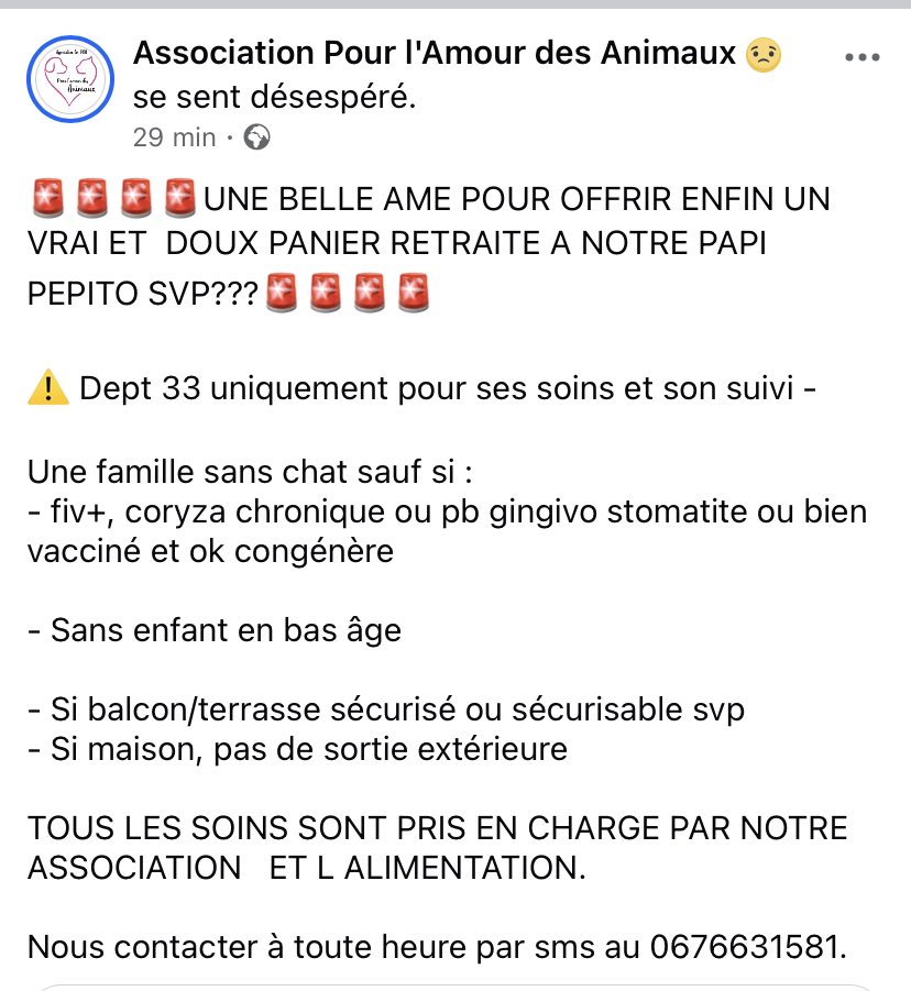 Ça me brise le cœur de pas pouvoir aider Pepito ! Quelqu’un en Gironde pour l’accueillir ? Bien lire et Contactez par message l’asso au 0676631581 <a href="/Associationpou2/">Association pour l'Amour des Animaux</a>