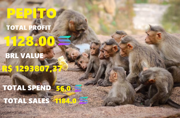 Cleison Rasta tweet media