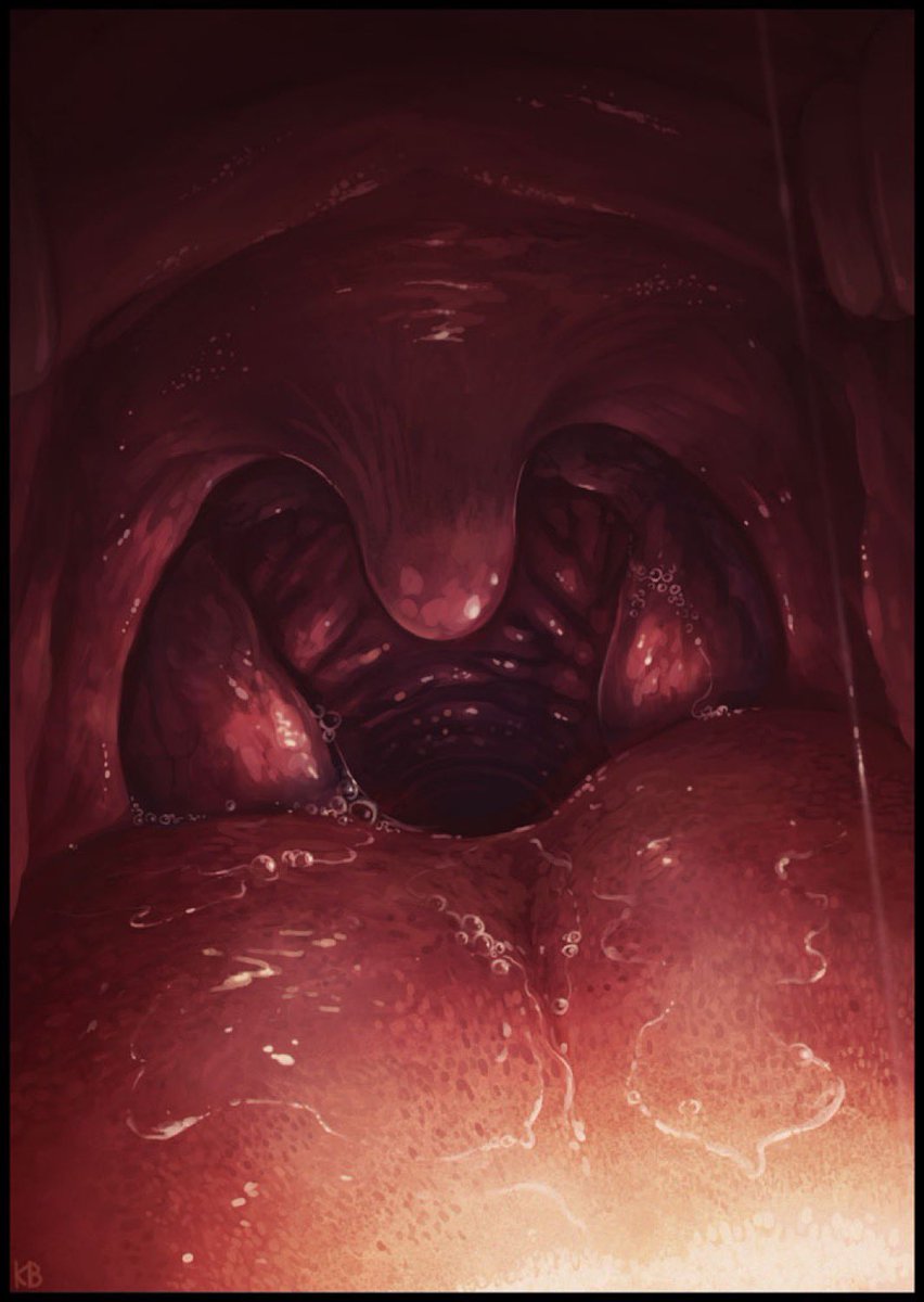 𝕊𝕚𝕝𝕧𝕖𝕣 the 𝕎𝕠𝕠𝕗𝕖𝕣❧ tweet media