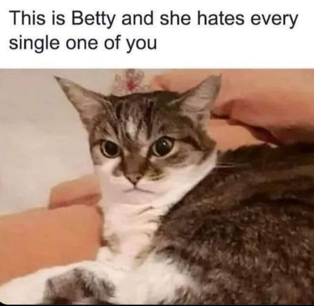 imwalkinghere tweet media