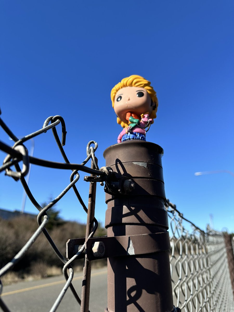 FlashlightLife's tweet image. My favorite not a monkeyshine of the year